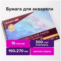 Альбом BRAUBERG 113214, комплект 2 шт.