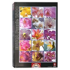 Пазл Educa Цветы коллаж (16302), 1500 дет.