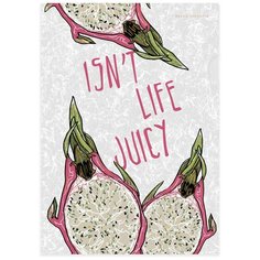 Папка-уголок BrunoVisconti, А4 (22 х 31 см) "фрукты", Арт. 14-038/05