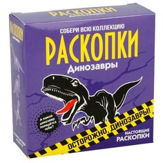 "Настоящие раскопки" Набор для проведения раскопок "Динозавры" DIG-3 Бумбарам