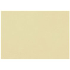 FABRIANO Бумага для пастели (1 лист) fabriano tiziano а2+ (500х650 мм), 160 г/м2, песочный, 52551006, 10 шт.