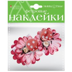 Декоративные наклейки фетр Набор № 17 Цветы. Божьи коровки 5 видов Альт