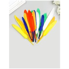 Перья декоративные - 24 шт, 6 цветов, прямые, 10-15 см, яркие Migura