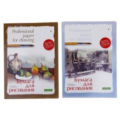 Альт Папка для рисования А3, 20 листов "Профессиональная серия", блок 150 г/м2, гознак, микс
