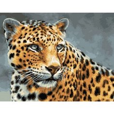 Картина по номерам Леопард 40х50 см Hobby Home