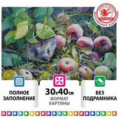 Алмазная мозаика "Ёжик", 30x40, см, остров сокровищ