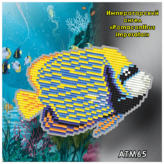 Алмазная мозаика «Императорский ангел (Pomacanthus imperator)» (магнит), 10х15 см, Арт Соло Art Solo