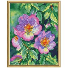 Алмазная мозаика "Дикая роза", 40x50 см, Molly