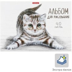 Альбом для рисования А4, 40 листов на клею Tabby, обложка мелованный картон, жёсткая подложка, блок 120 г/м2 Erich Krause
