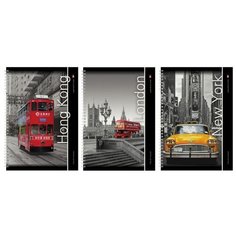 Тетрадь общая Альт, А4 (202 х 285 мм), "города" 80л, клетка, Арт. 7-80-001