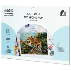 ТРИ СОВЫ картина по номерам Сказочная избушка, 30 х 40 см, разноцветный
