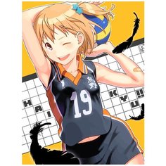 Картина по номерам на холсте Аниме Волейбол 5138 30x40