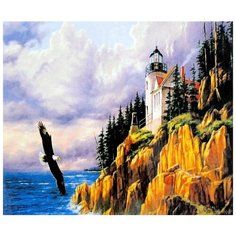 Алмазная мозаика 3D 40*50 см полет орла Нет бренда