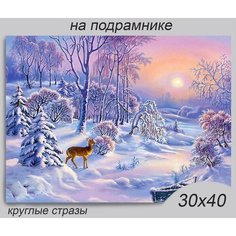 Алмазная мозаика на подрамнике 30*40 см Rremdes