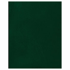 Тетрадь 48л, А5 клетка BG, бумвинил, зеленый, 20 шт. в упаковке BG®