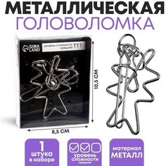 Головоломка «Раздели на части» №11 Puzzle