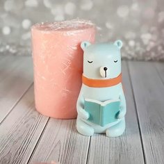 Силиконовая форма для мыла, Мишка с книгой Helena Mold