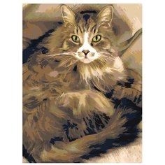 Картина по номерам, "Живопись по номерам", 60 x 80, ets476-30401, кошка, пушистый, котёнок, подушка, диван