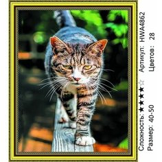 Алмазная мозаика кошка пейзаж на подрамнике 40х50см HWA4862 Нет бренда