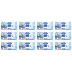 Пумпоша Салфетки влажные антибактериальные 15 шт 12 уп