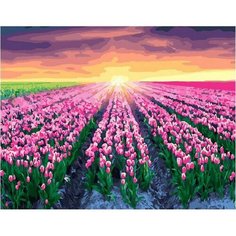 Картина по номерам Тюльпановое поле 40х50 см Hobby Home