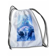 Мешок для сменной обуви с принтом Игры Destiny 2 - 35004 Brut Boxers