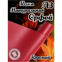 Натуральная кожа Орфей для шитья и рукоделия, А3 , цвет красный Russia