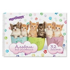Альбом для рисования А4, 32л Юнландия "Котики" (100 г/кв. м, спираль, обложка картон, 205х290мм) (105077), 6шт.