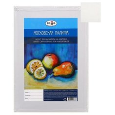 Холст на картоне 25 х 35 см, акварельный, хлопок 100%, 2 мм, акриловый грунт, мелкозернистый, Гамма "Московская палитра" Gamma