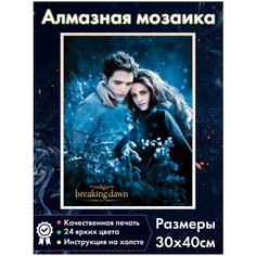 Алмазная мозаика Fantasy Earth Сумерки / Белла, Эдвард / Вампиры /Оборотни / Картина стразами / Мозаика для детей / Алмазная вышивка