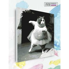 Картина по номерам на холсте Кошка балерина, 50 х 50 см