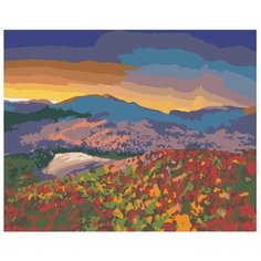 Картина по номерам Полевые цветы 40х50 см АртТойс