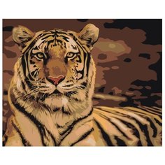 Картина по номерам Тигр 40х50 см АртТойс