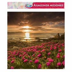 Алмазная мозаика без подрамника, частичное заполнение «Поле цветов» 40 × 50 см (комплект из 3 шт) Centrum