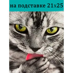 Стиль для Дома Алмазная мозаика 25х21 см / частичная выкладка