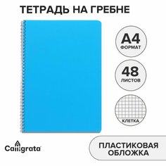 Тетрадь на гребне A4 48л кл Голубая пласт обл, офсет Россия