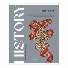 Тетрадь предметная 48л. ArtSpace "Коллаборация"- История, комплект 10 шт, матовая ламинация, выб. лак