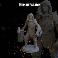 Паладин 48мм человек женщина фигурки/миниатюры (ДнД, DnD, D&D, Dungeons & Dragons, Pathfinder, Подземелья и Драконы, Wargames) Нет бренда