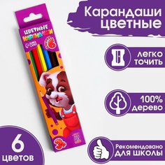 Карандаши цветные, заточенные, шестигранные 6 цветов, корпус деревянный, картонная коробка с европодвесом. Россия