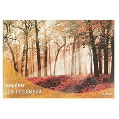 Альбом для рисования А4, Лес осенью, Случай