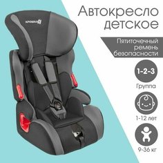 Автокресло Space plus, группа 1/2/3, 9-36 кг, (1-12 лет) Темно-серый/Светло-серый Нет бренда