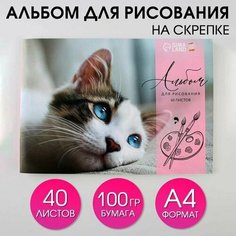 Альбом для рисования на скрепках А4, 40 листов Котeнок (мелованный картон 160 гр бумага 100 гр) Китай