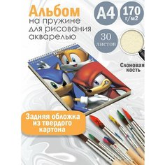 Альбом планшет для рисования акварелью мультфильм Соник Альбомы