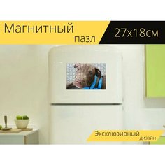 Магнитный пазл "Питбуль, щенок, собака" на холодильник 27 x 18 см. Lots Prints