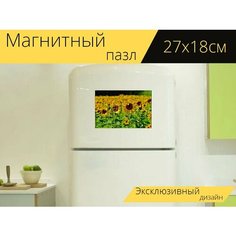 Магнитный пазл "Подсолнухи, пчелы, летом" на холодильник 27 x 18 см. Lots Prints