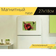 Магнитный пазл "Роза, цветок, лепестки" на холодильник 27 x 18 см. Lots Prints