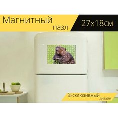 Магнитный пазл "Бобр, пруд, дикая природа" на холодильник 27 x 18 см. Lots Prints