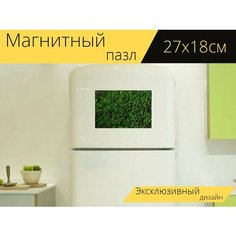 Магнитный пазл "Маленькие зеленые листья, стелющаяся листва, зеленый ковер" на холодильник 27 x 18 см. Lots Prints