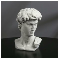 Гипсовая фигура "Голова Давида" 8 х 12,5, серая Noname