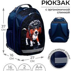 Рюкзак школьный, 37 х 27 х 16 см, эргономичная спинка, Calligrata Б "Хоккеист"